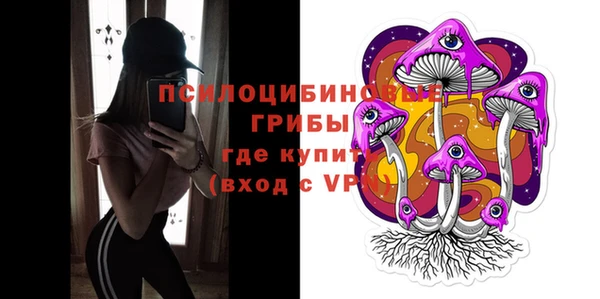 ешки Надым
